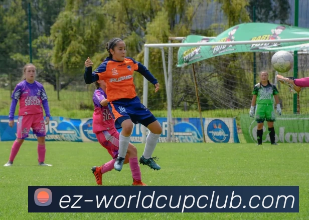 世界杯官方投注发展历程